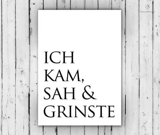 Print - Typo - Spruch - Ich kam, sah und grinste